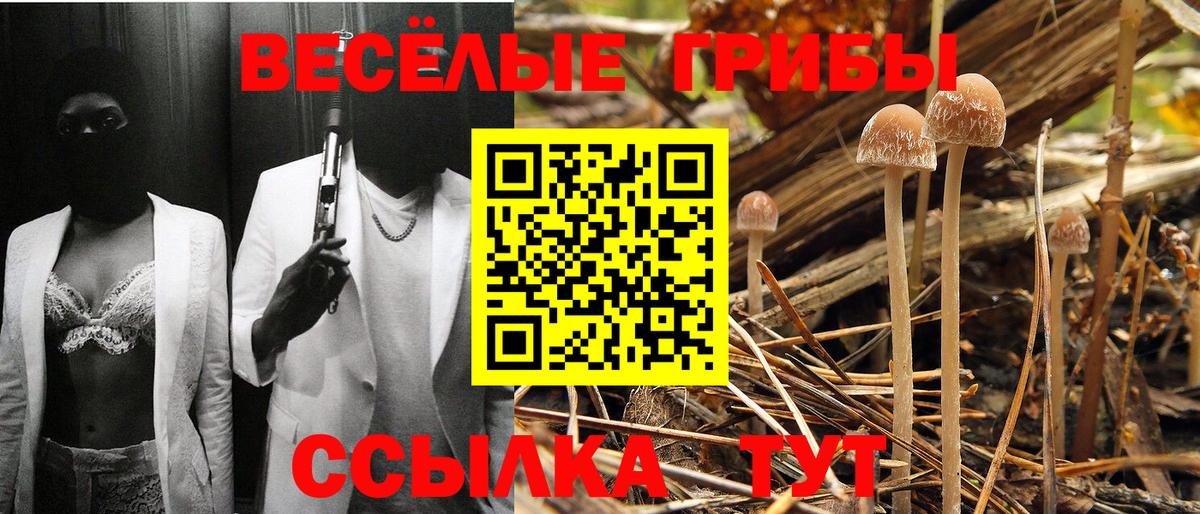 Псилоцибиновые грибы мухоморы Сергиев Посад